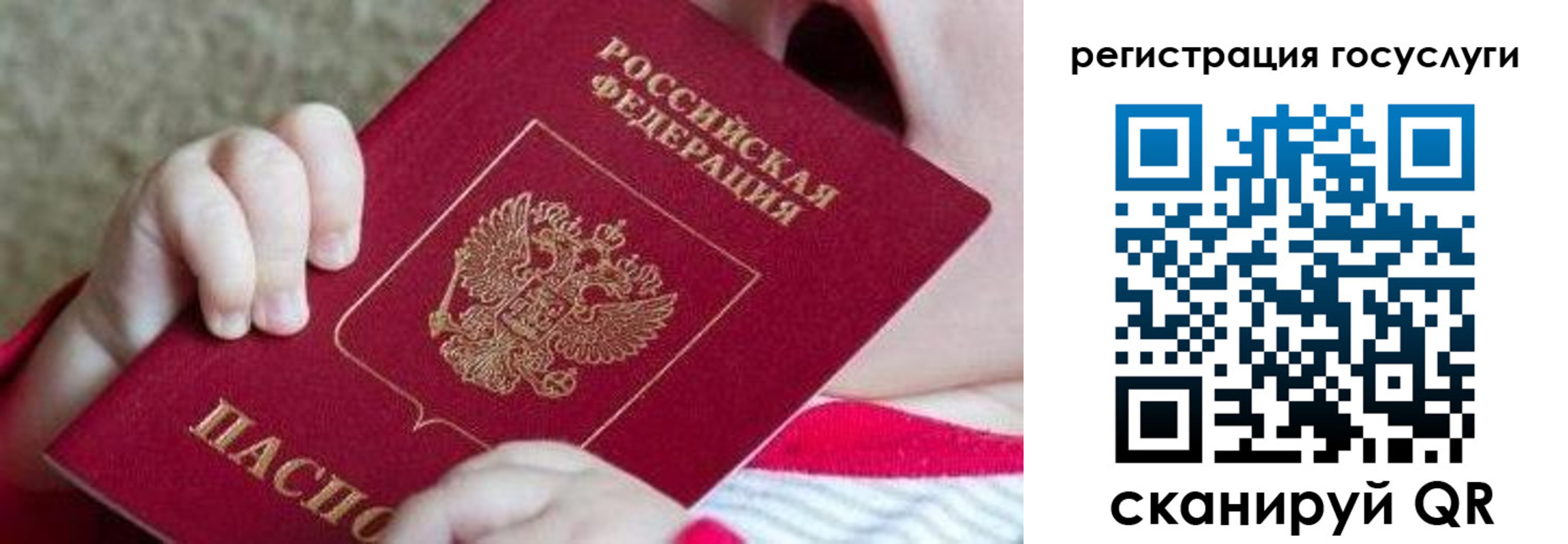 регистрация для школы в Ростовской области
